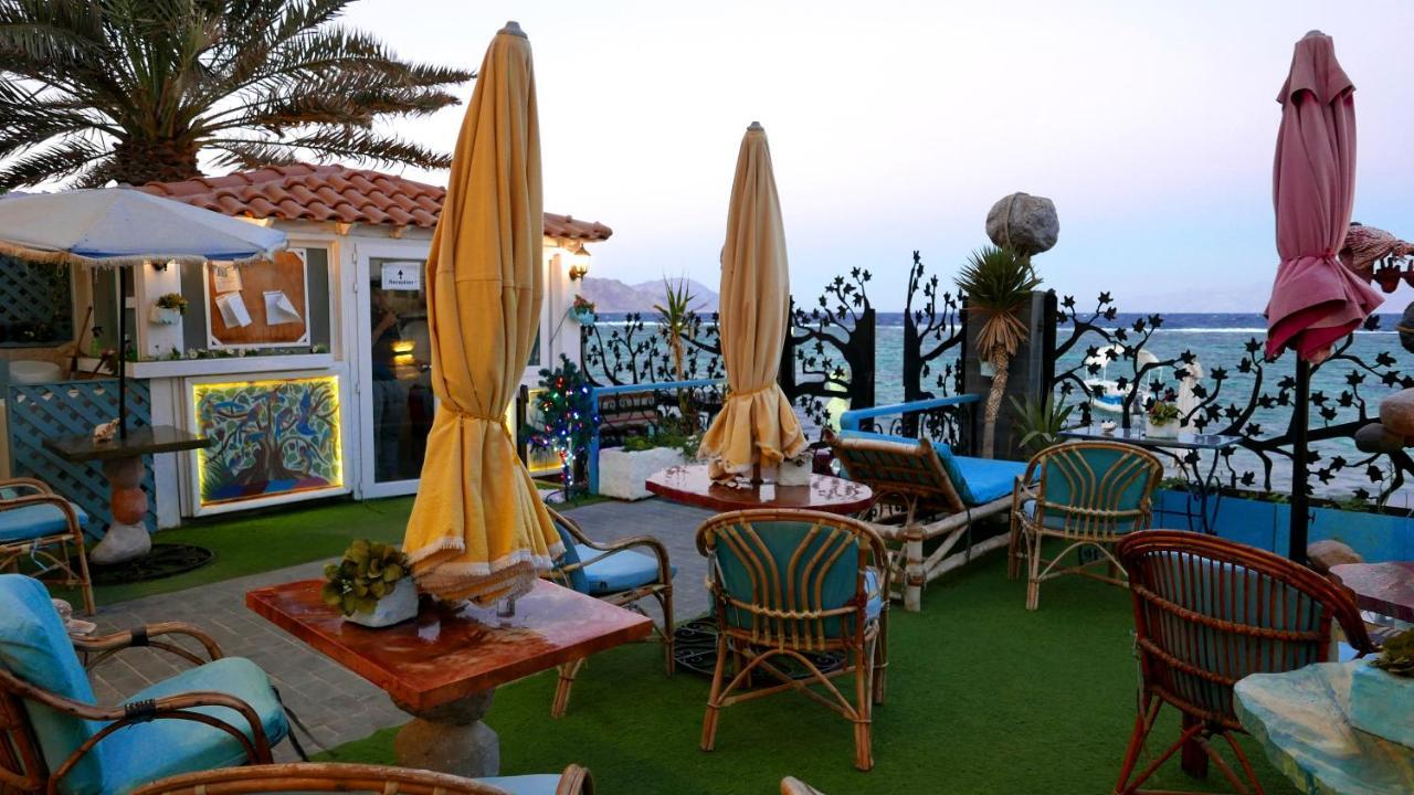 Skyrock Dahab Διαμέρισμα Εξωτερικό φωτογραφία